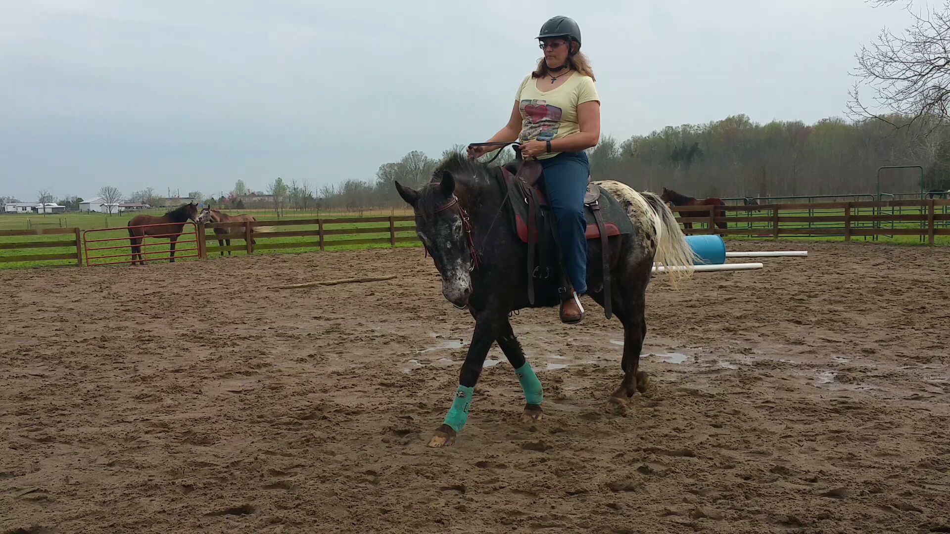 Rider Biomechanics